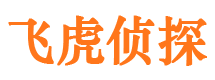 屏边市调查公司